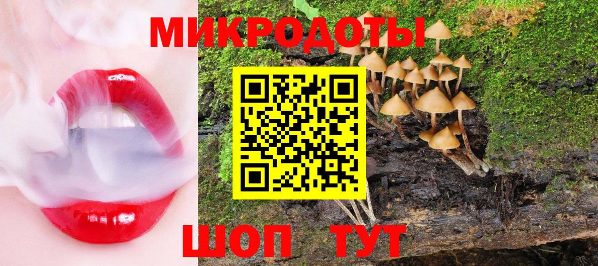 Янаул  Псилоцибиновые грибы MAGIC MUSHROOMS  Вход с VPN  Галлюциногенные грибы Cubensis 