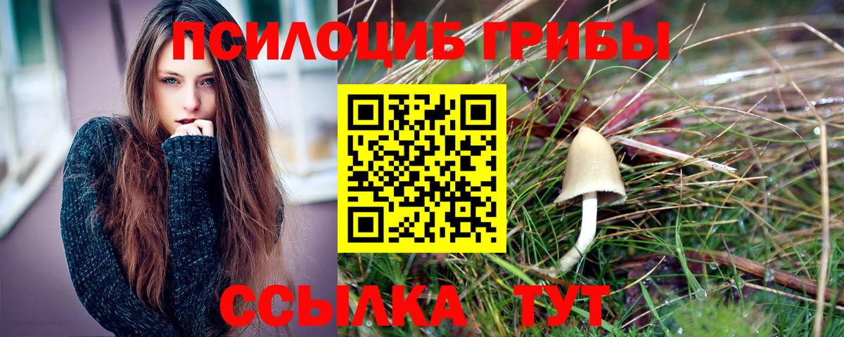 Галлюциногенные грибы прущие грибы Янаул